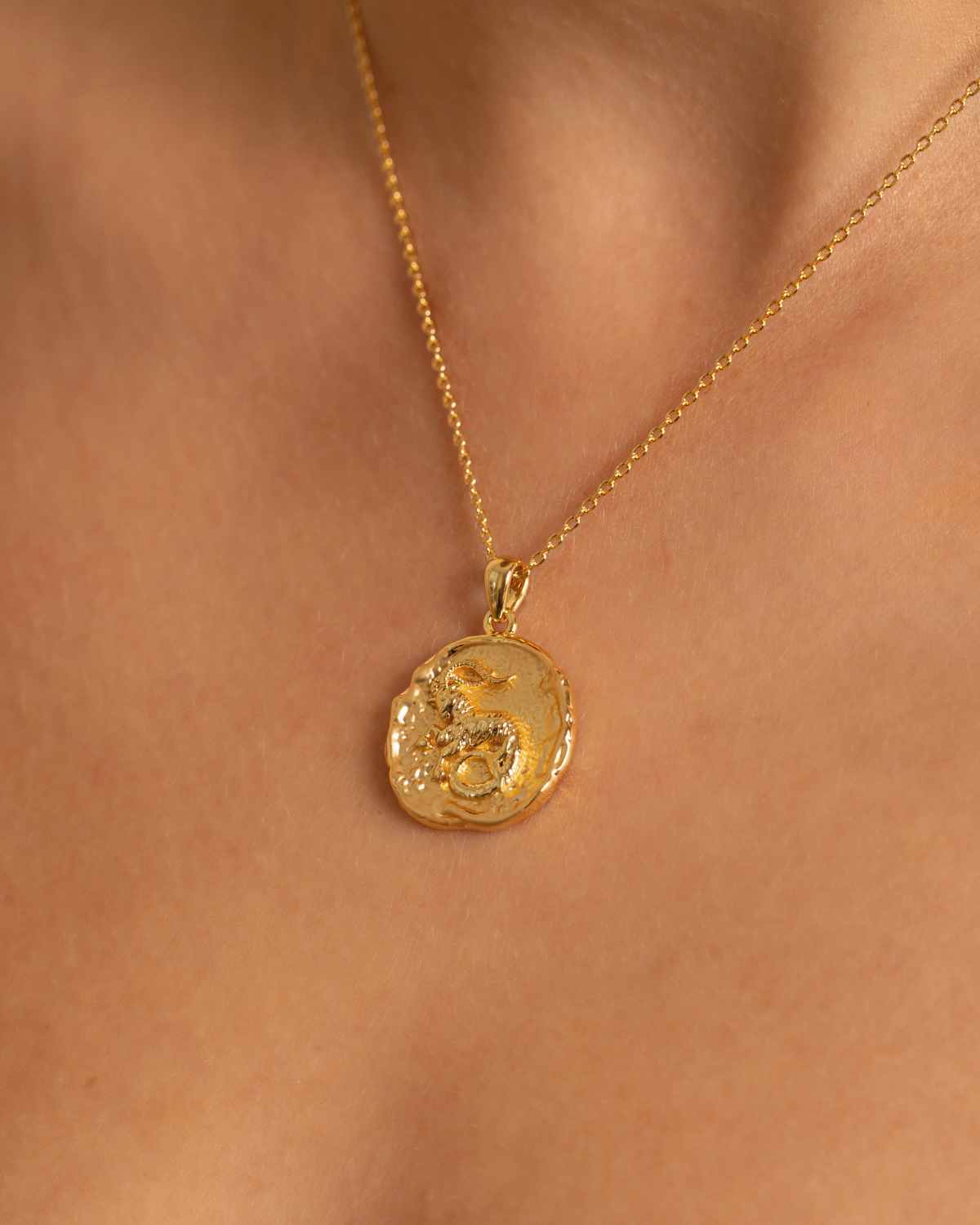 Zodiac Necklace - Capricorn