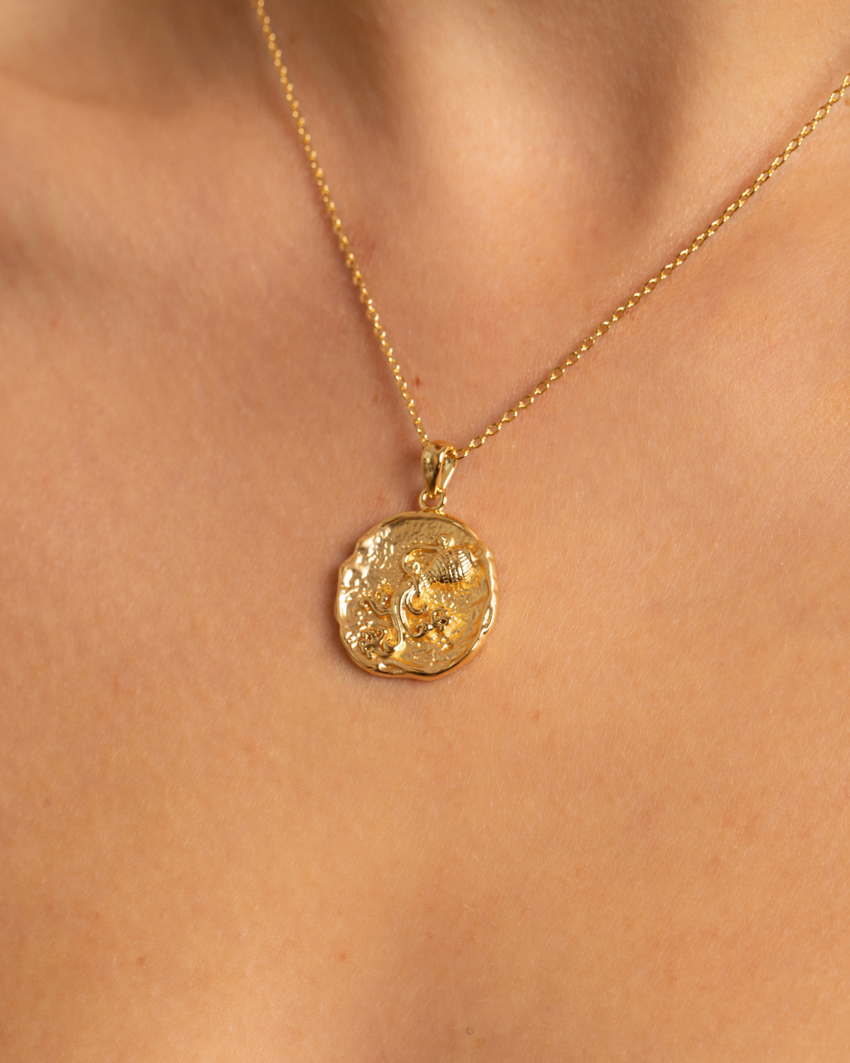 Collier Zodiaque - Verseau