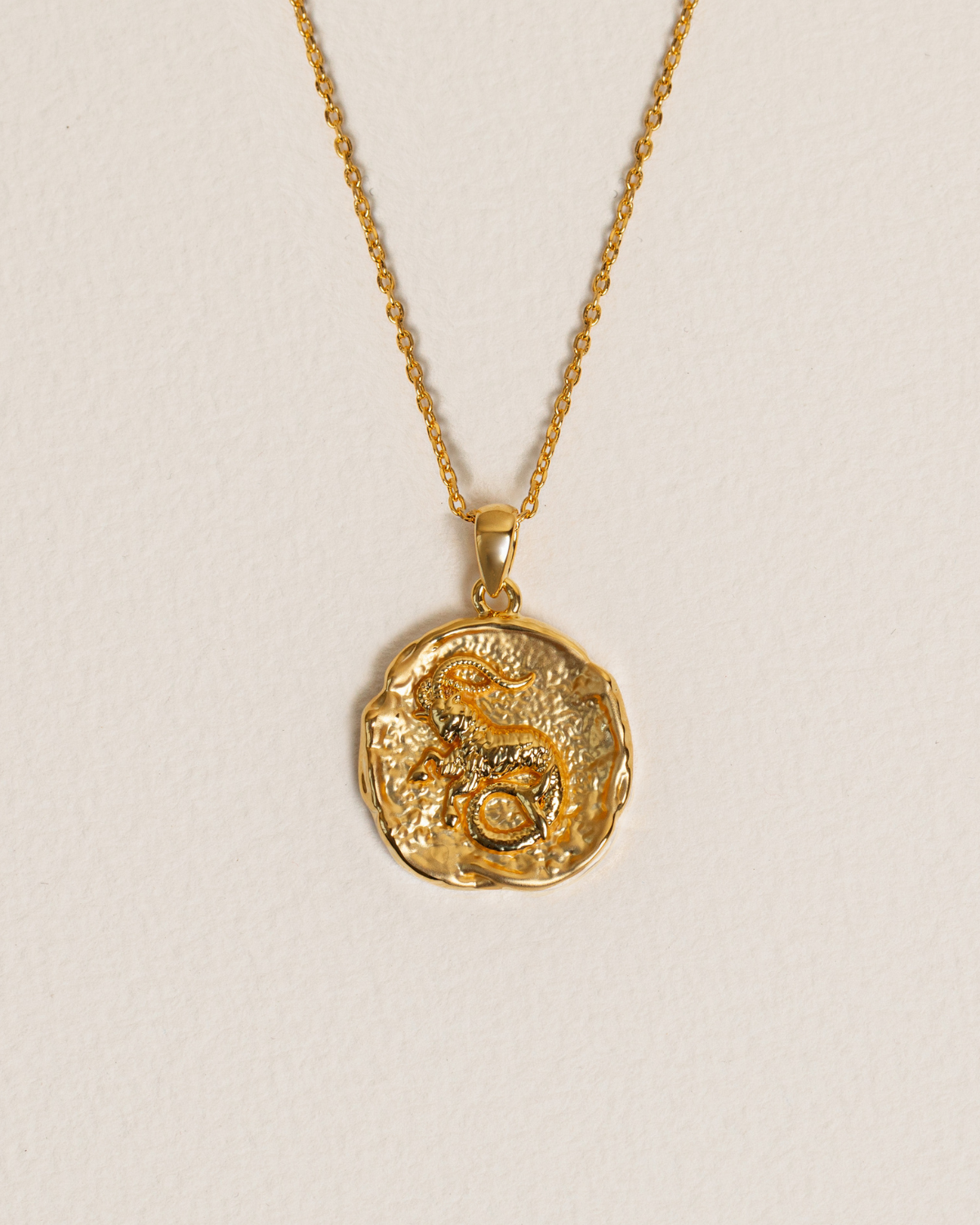 Zodiac Necklace - Capricorn
