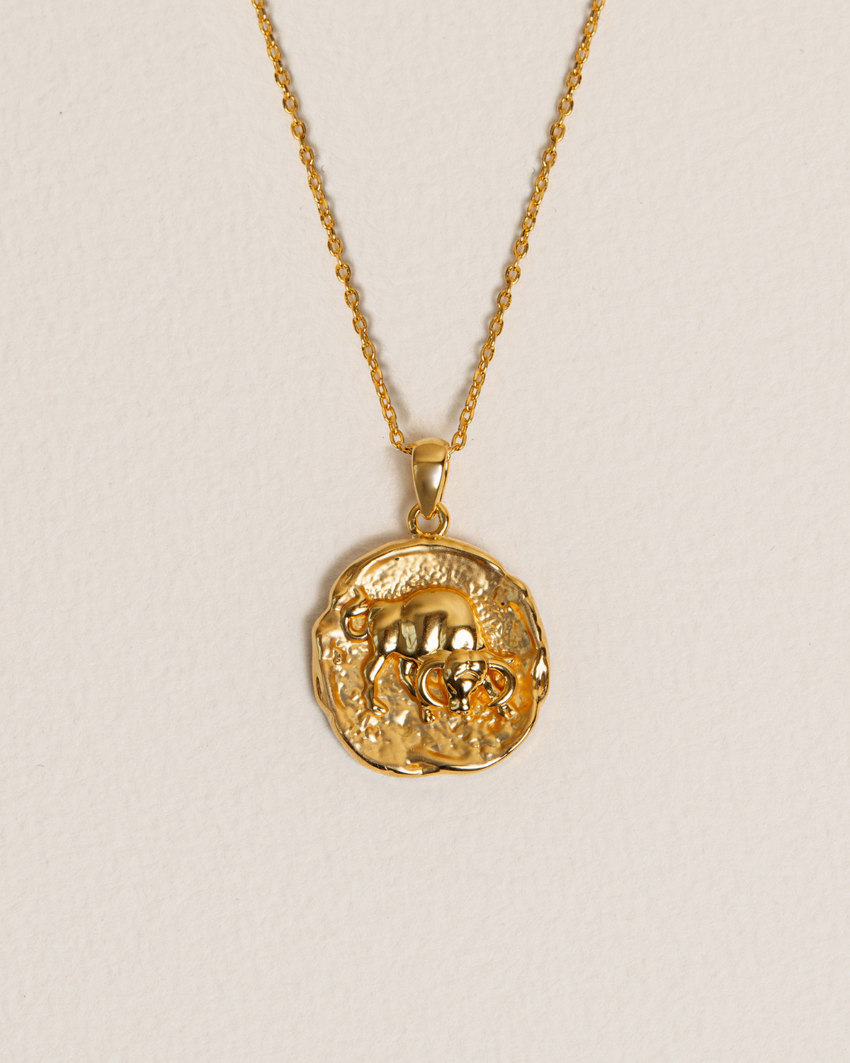 Zodiac Necklace - Taurus
