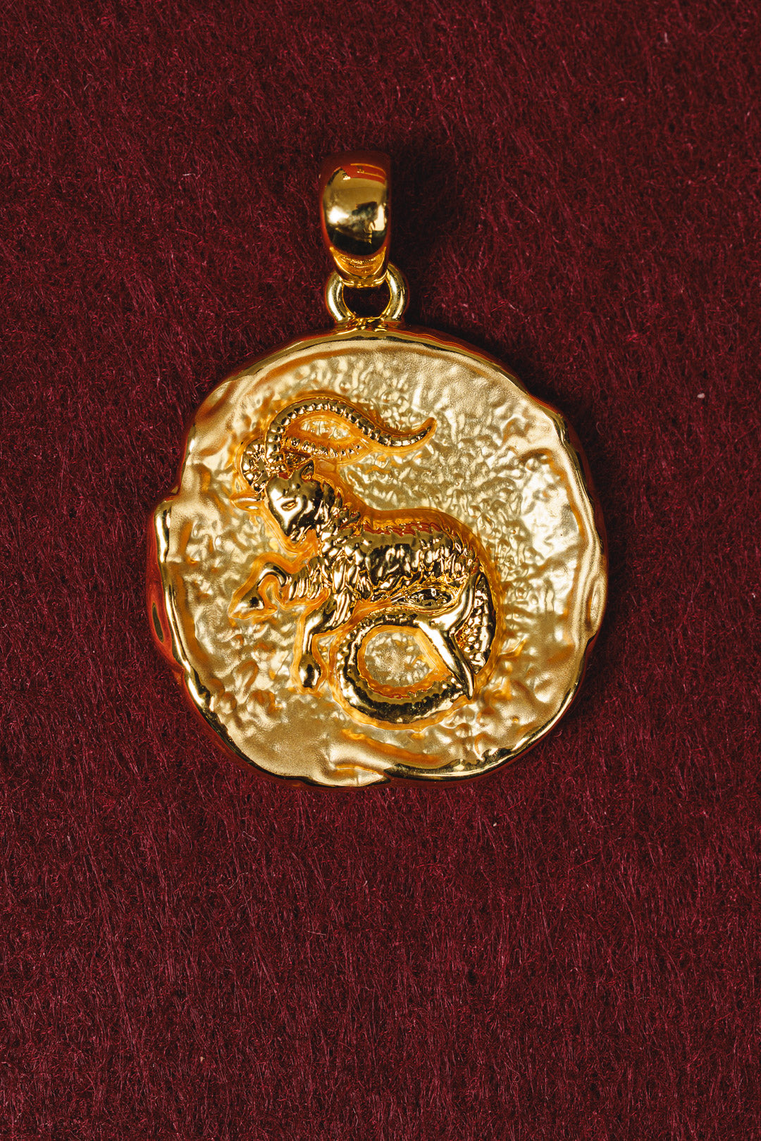 Zodiac Necklace - Capricorn